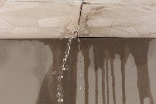 Professional Structural Drying technician working in Helen, GA